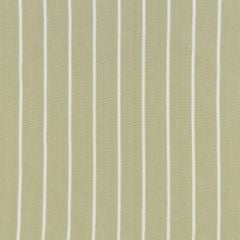 Waterbury Olive Curtains