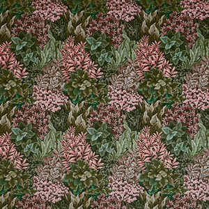 Garden Wall Coral Samples