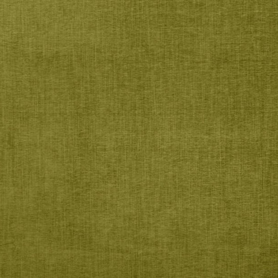 Finley Kiwi Samples