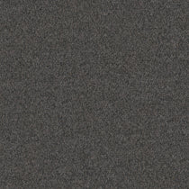 Everest-Grey Curtains