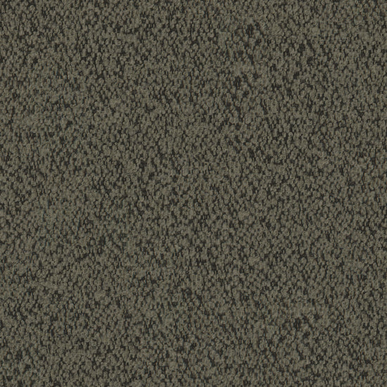 Everest-Lichen Samples