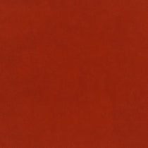 Plush Velvet Paprika Cushions Plush Velvet Paprika Cushions