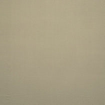 Bract Sand Cushions Bract Sand Cushions