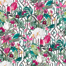 Arcadia Mono Cushions Arcadia Mono Cushions