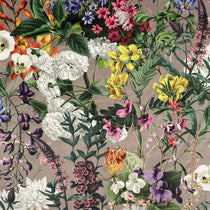 Zion Dove Cushions Zion Dove Cushions