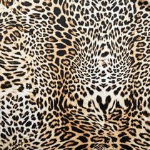 Pemba Cushions Pemba Cushions