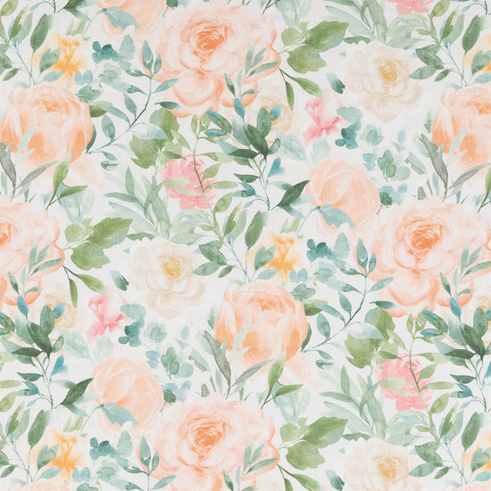 Belvoir Spring Samples