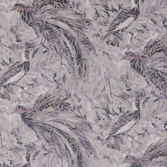 Raggiana Glacier Apex Curtains