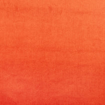 Velour Velvet Tango Pillows Velour Velvet Tango Pillows